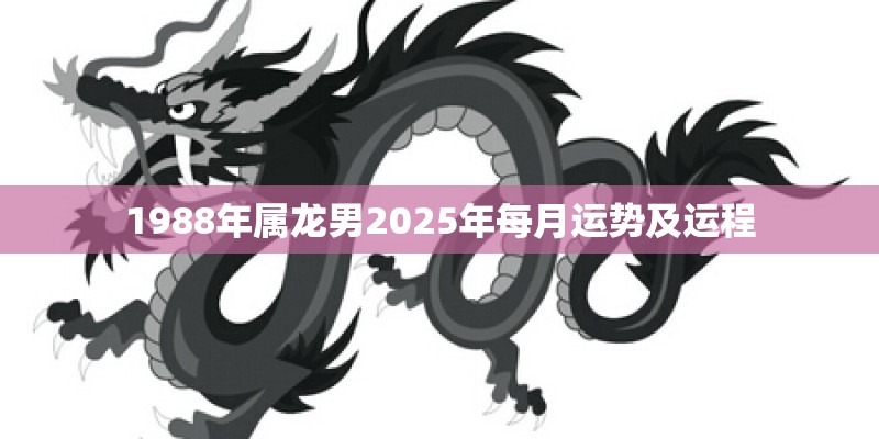 1988年属龙男2025年每月运势及运程