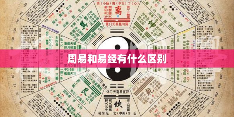 手掌厚的女人命运
