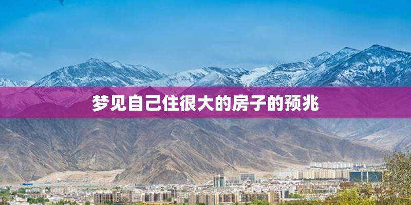 免费测试一生命运