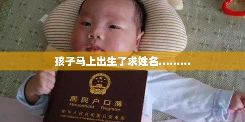 孩子马上出生了求姓名………