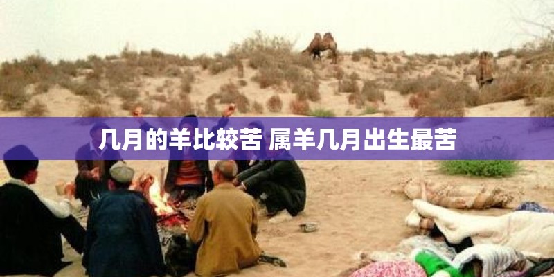 配对姻缘测试免费