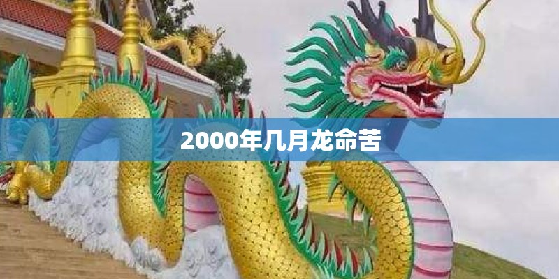 2000年几月龙命苦