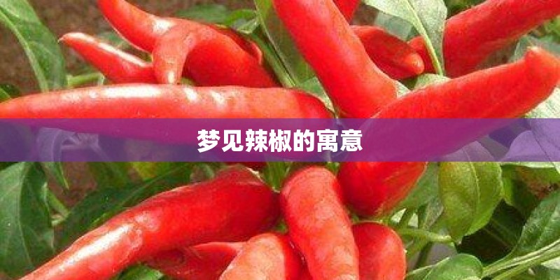 梦见辣椒的寓意 梦见辣椒的寓意