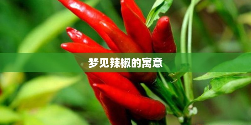 梦见辣椒的寓意 梦见辣椒的寓意