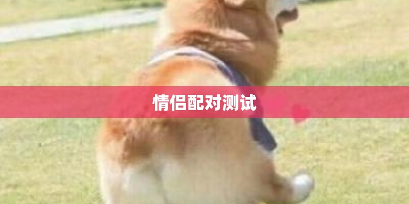 测两人有没有夫妻缘分（你们两人有没有夫妻缘分）