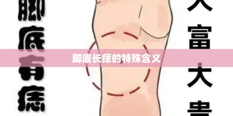 《电台情歌》歌词是什么？
