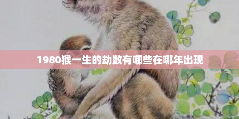 重名查询在哪里查