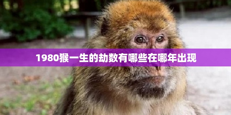 1980猴一生的劫数有哪些在哪年出现 1980猴一生的劫数有哪些在哪年出现