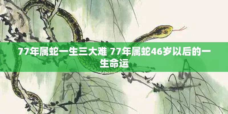 配对姻缘测试免费