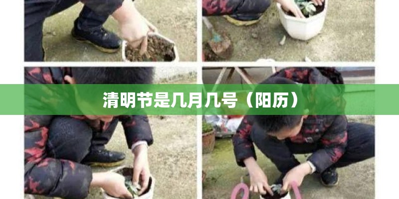 清明节是几月几号（阳历）