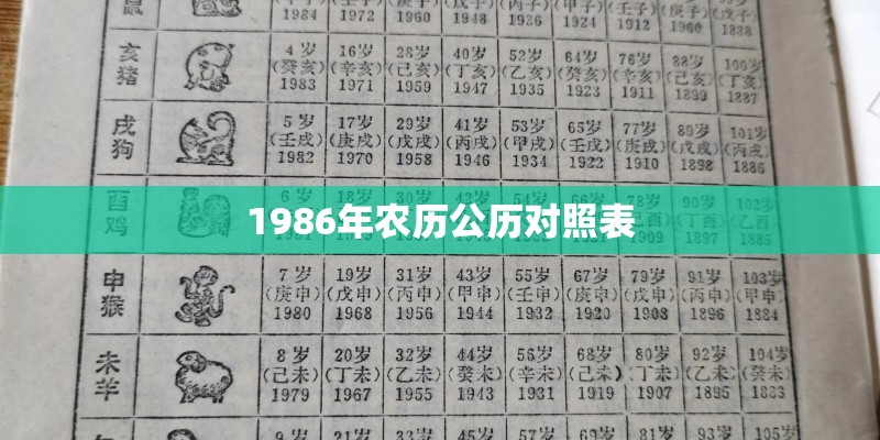 桢字在名字中的读音
