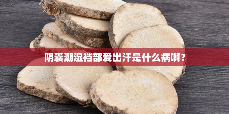 阴囊潮湿裆部爱出汗是什么病啊？