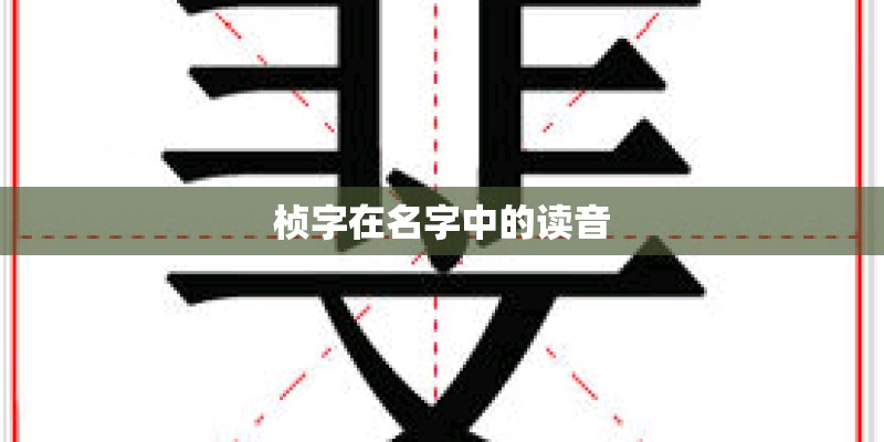 桢字在名字中的读音