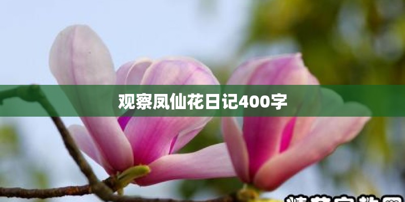 重名查询在哪里查