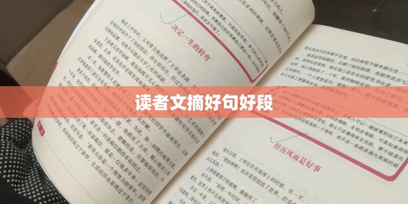 梁静茹《情歌》的歌词