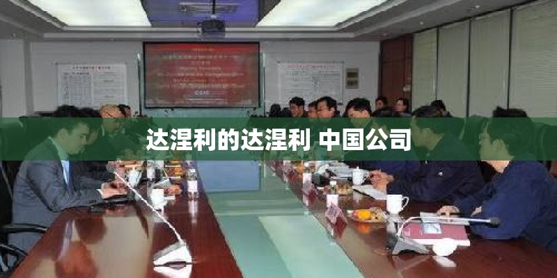 达涅利的达涅利 中国公司