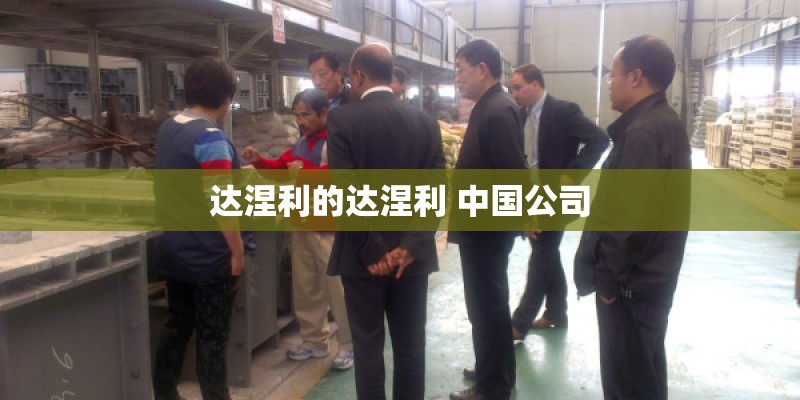 达涅利的达涅利 中国公司