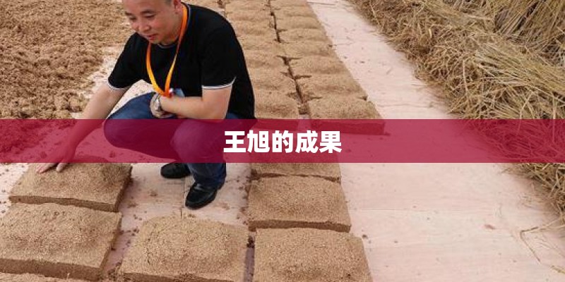 王旭的成果
