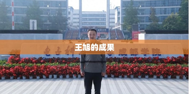 王旭的成果