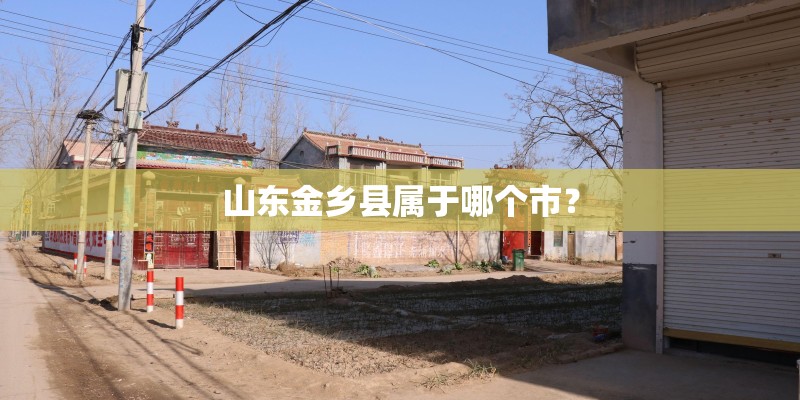 山东金乡县属于哪个市？