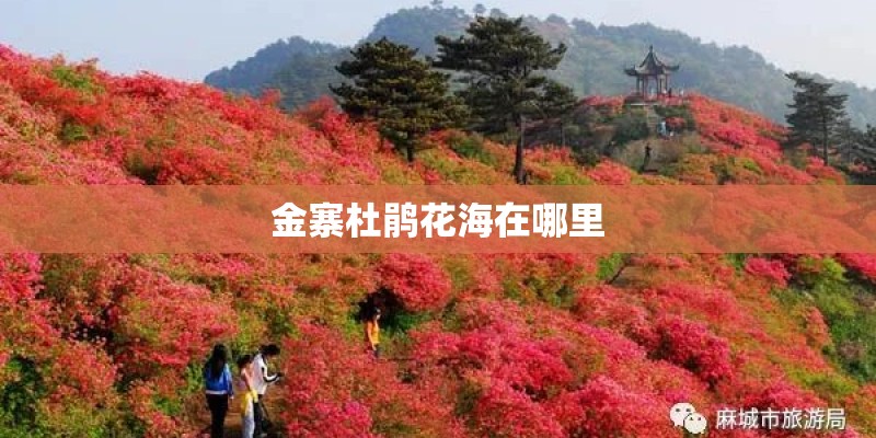 名爵emg6混动汽车_1