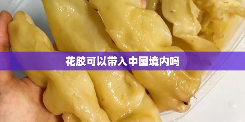 花胶可以带入中国境内吗