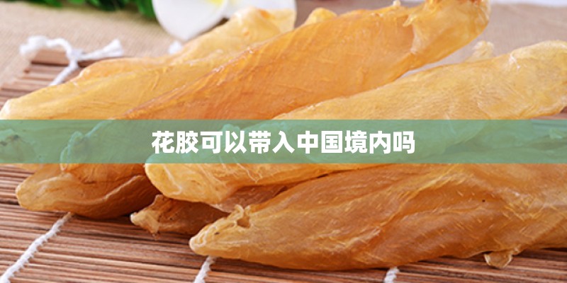 花胶可以带入中国境内吗