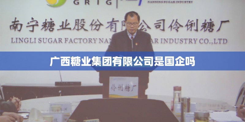 广西糖业集团有限公司是国企吗