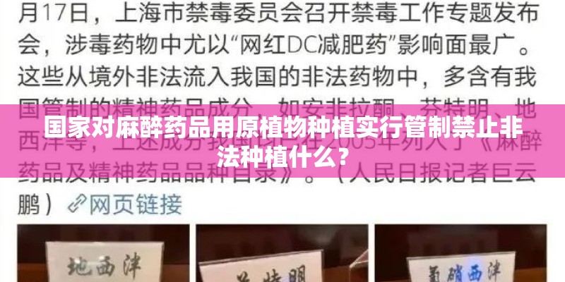 国家对麻醉药品用原植物种植实行管制禁止非法种植什么? 国家对麻醉药品用原植物种植实行管制禁止非法种植什么?
