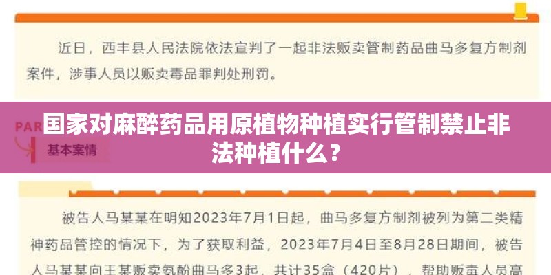 国家对麻醉药品用原植物种植实行管制禁止非法种植什么? 国家对麻醉药品用原植物种植实行管制禁止非法种植什么?