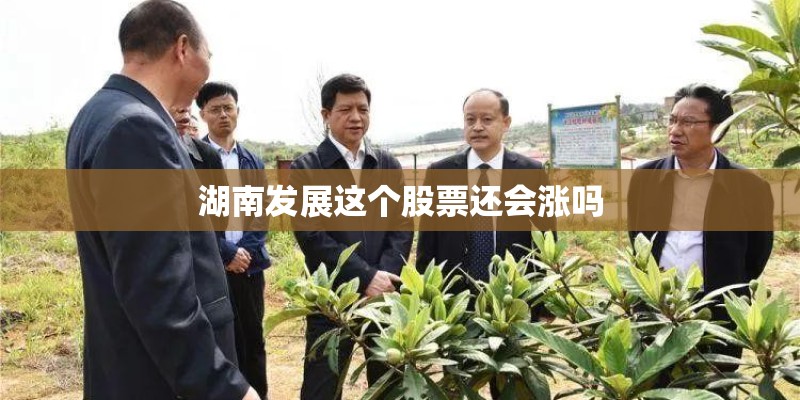 湖南发展这个股票还会涨吗