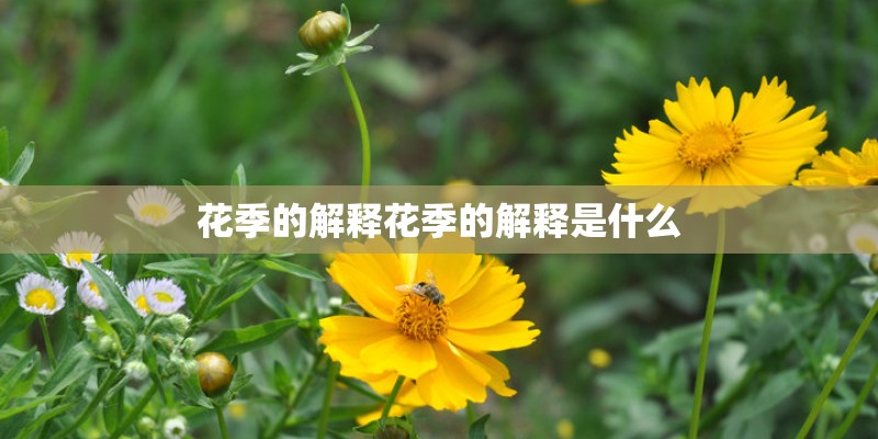 奥迪A6L的quattro四轮驱动系统到底有多强大？