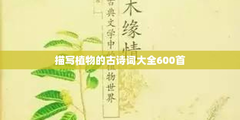 最垃圾的4所985大学