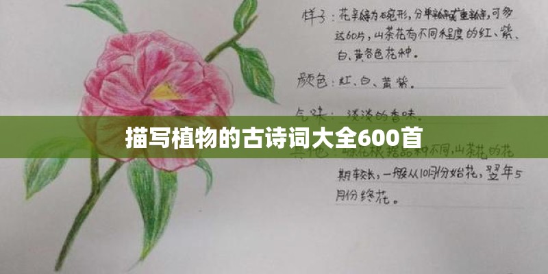 描写植物的古诗词大全600首 描写植物的古诗词大全600首
