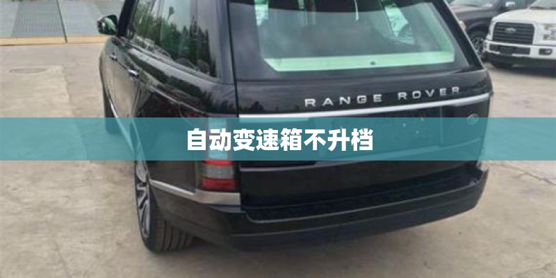 河边适合种什么树