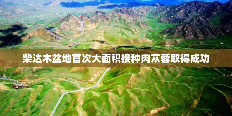 柴达木盆地首次大面积接种肉苁蓉取得成功