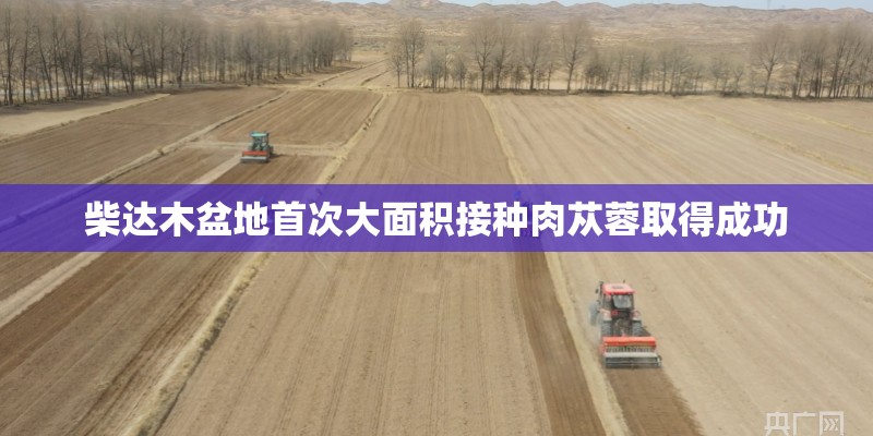柴达木盆地首次大面积接种肉苁蓉取得成功