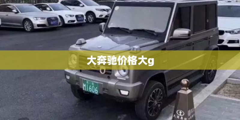 大奔驰价格大g
