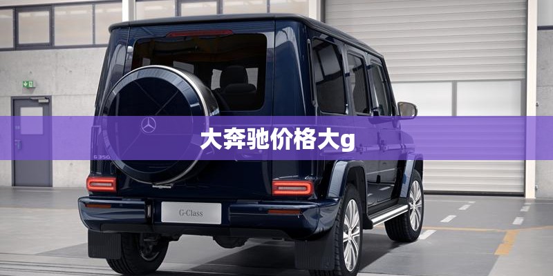 大奔驰价格大g