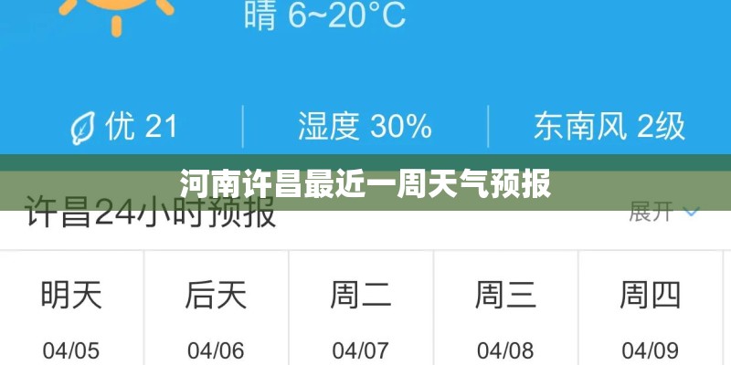 白菜的生长过程（要详细）