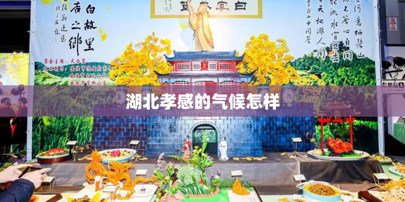 湖北孝感的气候怎样