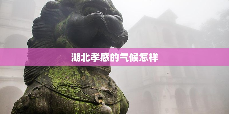 湖北孝感的气候怎样