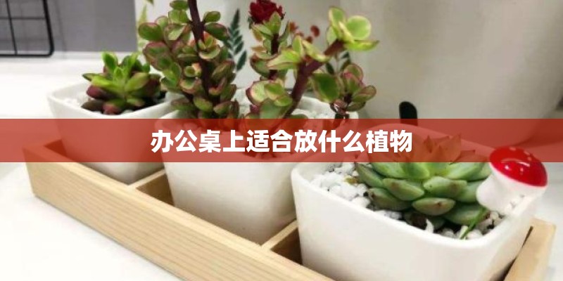 宝马怎么把灯完全关掉