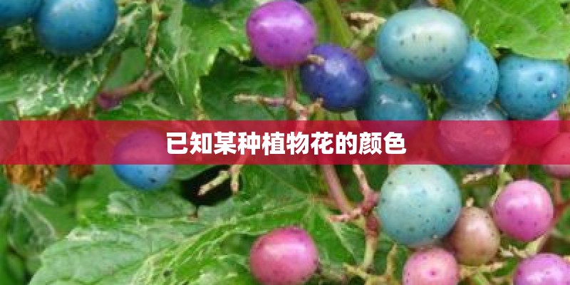 已知某种植物花的颜色