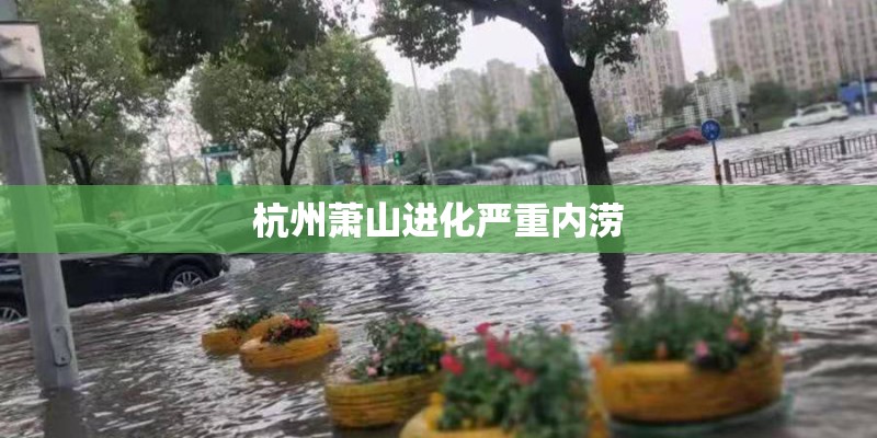 杭州萧山进化严重内涝
