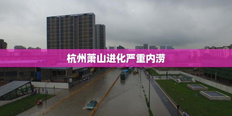 杭州萧山进化严重内涝