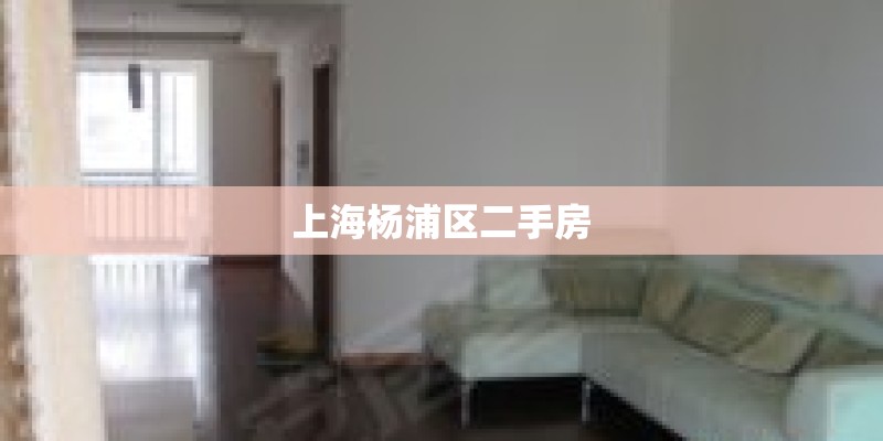 上海杨浦区二手房