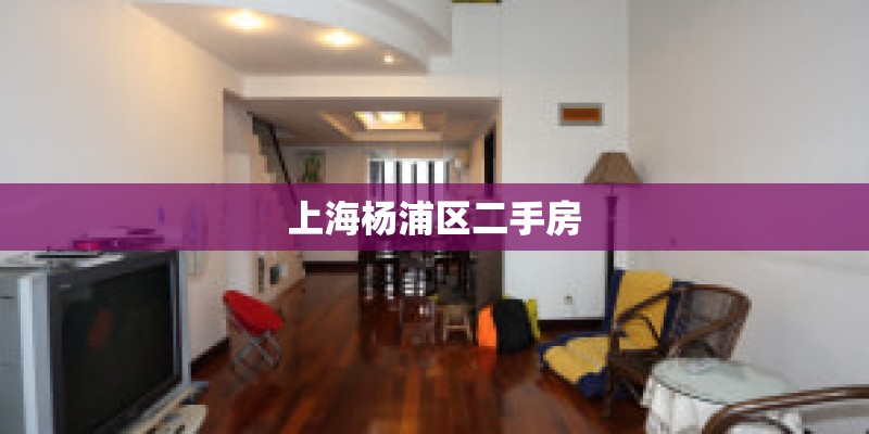 上海杨浦区二手房