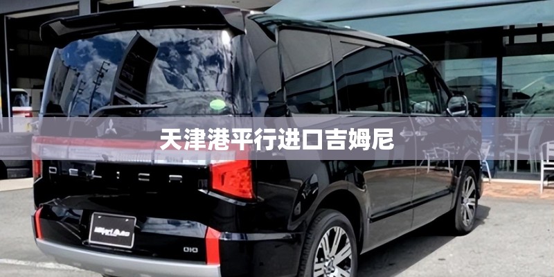 天津港平行进口吉姆尼