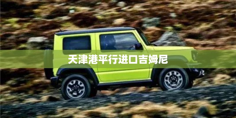 天津港平行进口吉姆尼